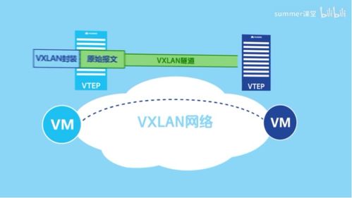VXLAN通信原理與應用場景 網(wǎng)絡與信息安全軟件開發(fā)視角
